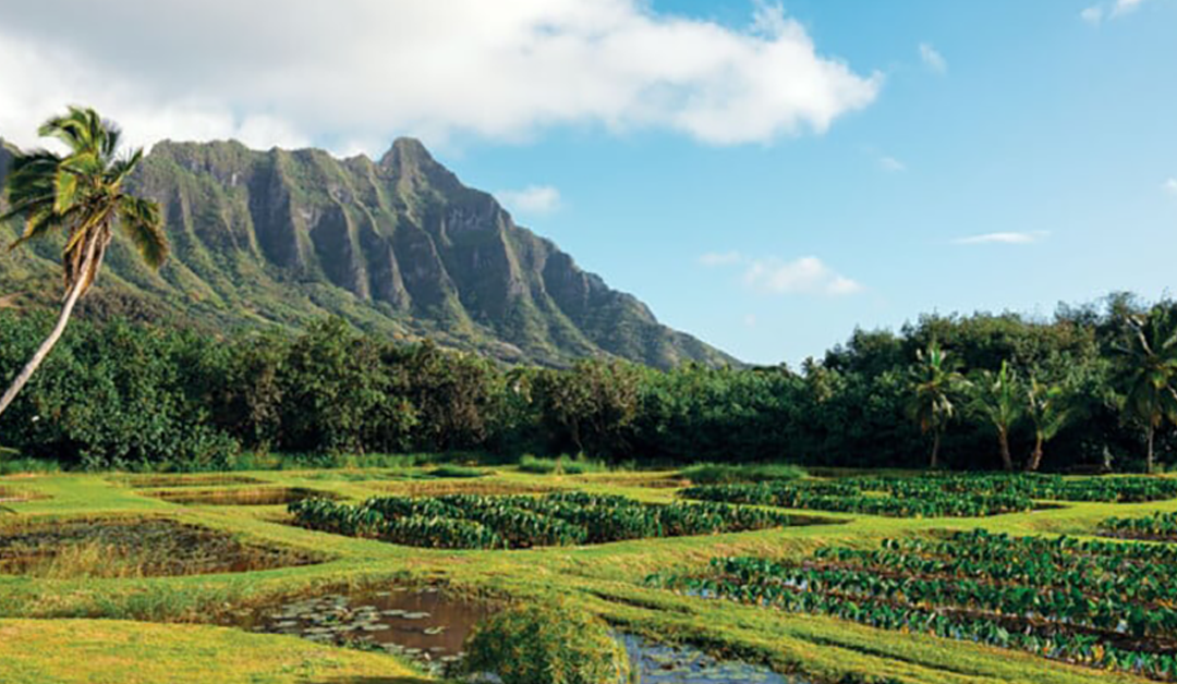 Honolulu Magazine: Can We Return to Ahupua‘a?